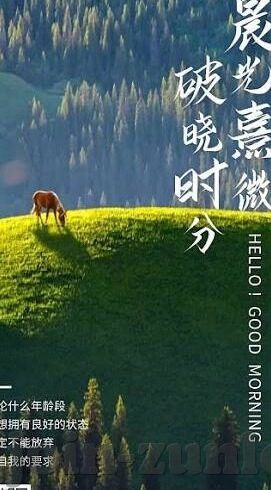 足球大赢家足球比分-足球大赢家，精准捕捉足球比分，畅享绿茵激情盛宴